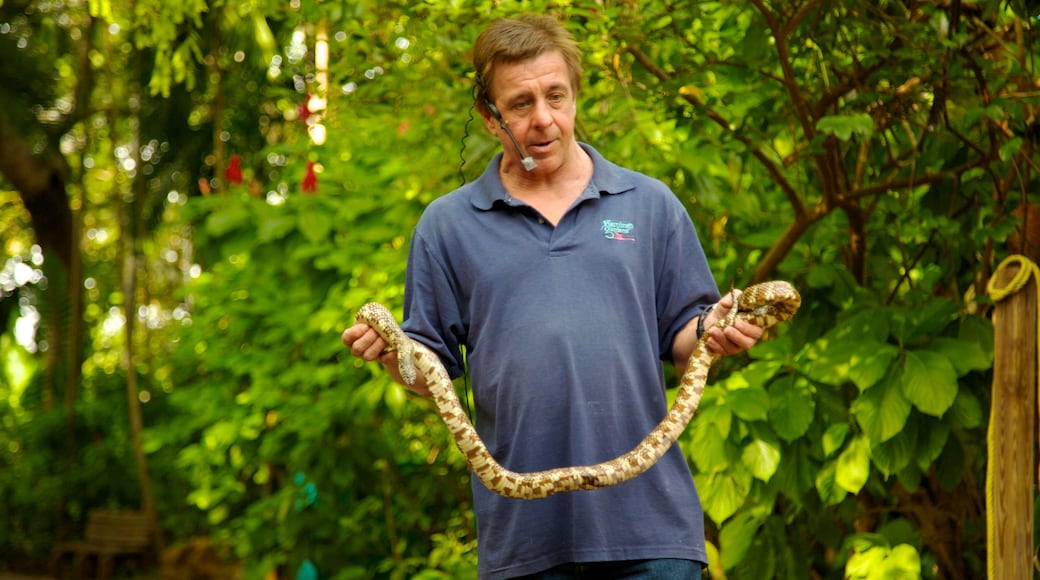 Flamingo Gardens que incluye animales peligrosos y un parque y también un hombre