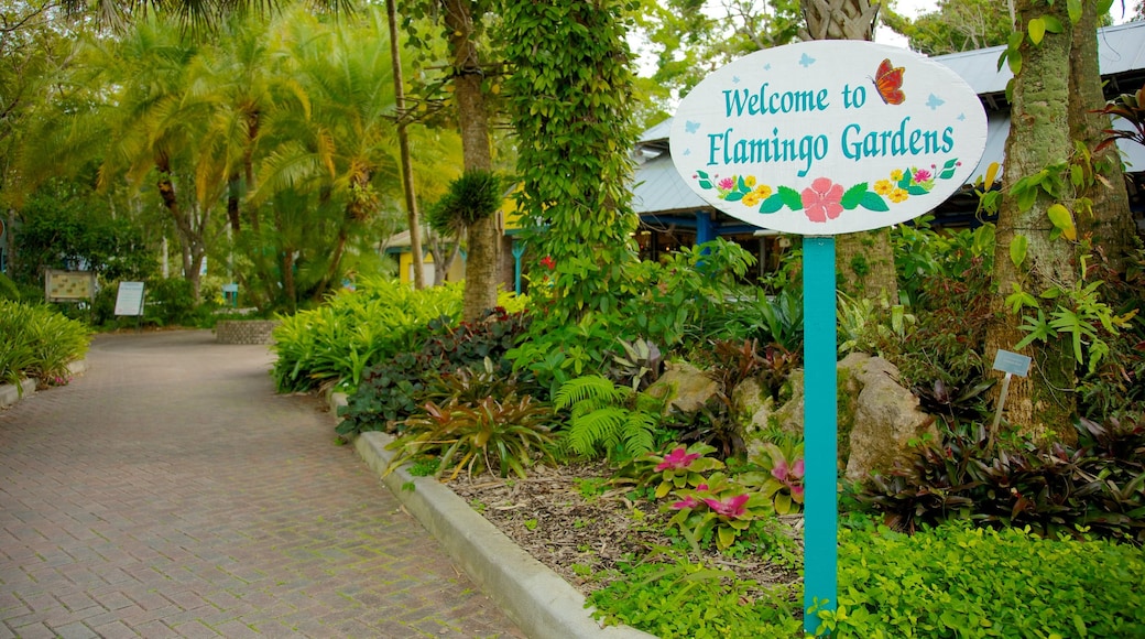 Flamingo Gardens showing landscape views, signage and a garden