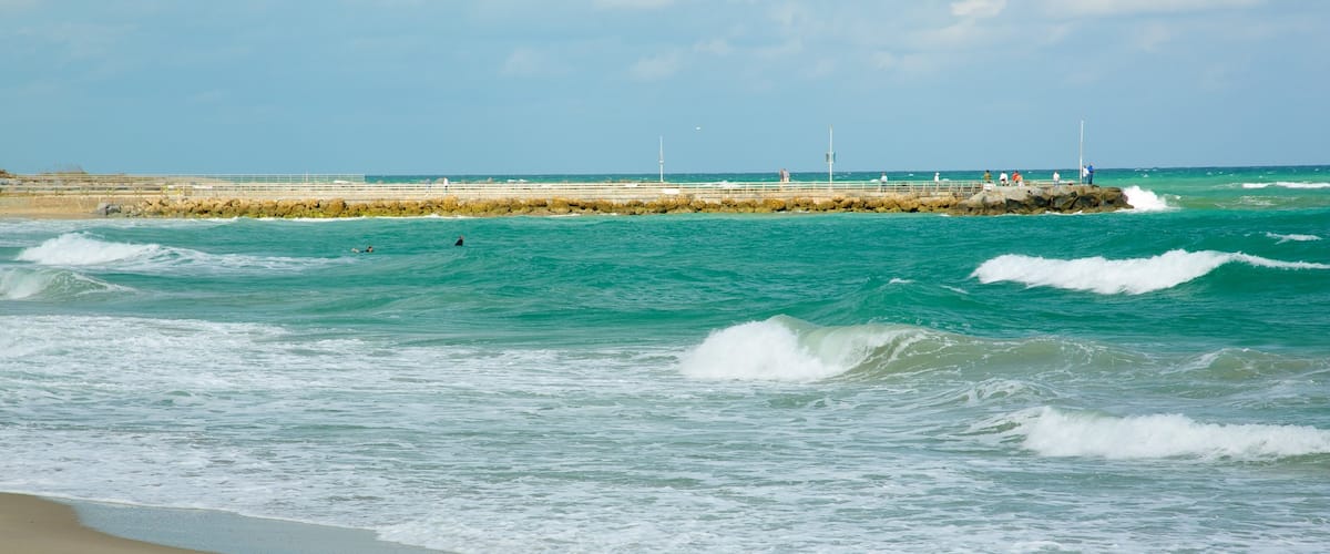 Jupiter Beach showing a beach, tropical scenes and landscape views