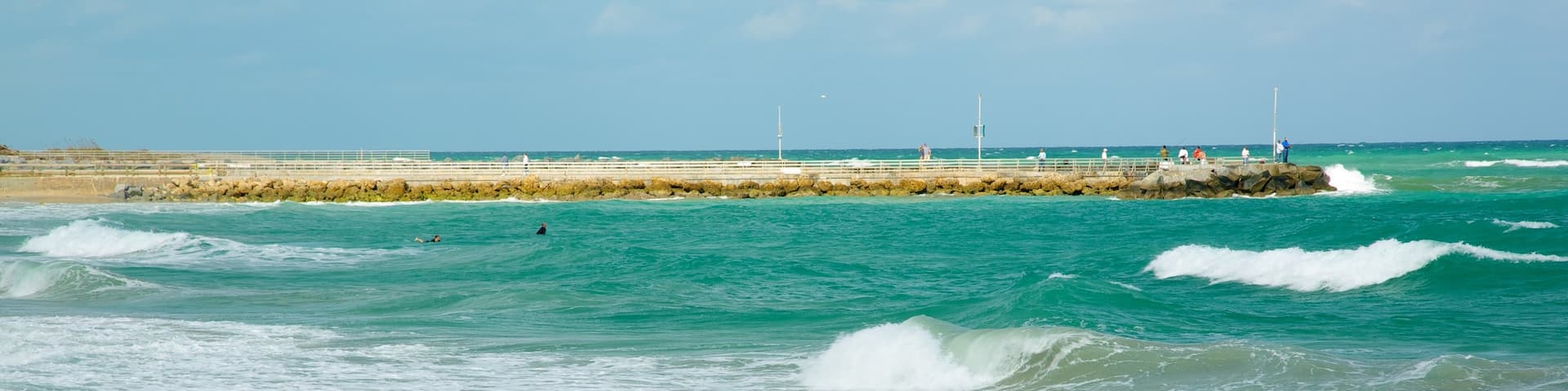Jupiter Beach which includes landscape views, a beach and tropical scenes