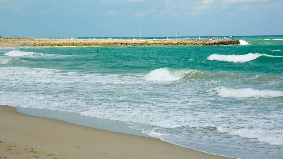 Jupiter Beach showing a beach, tropical scenes and landscape views