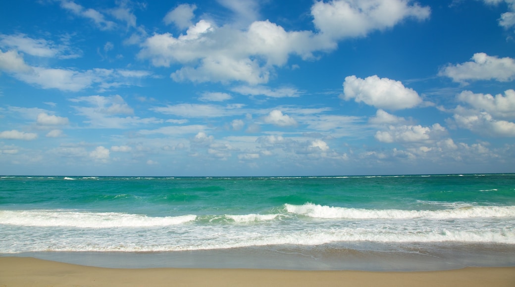 Jupiter Beach mostrando una playa de arena, vista panorámica y olas