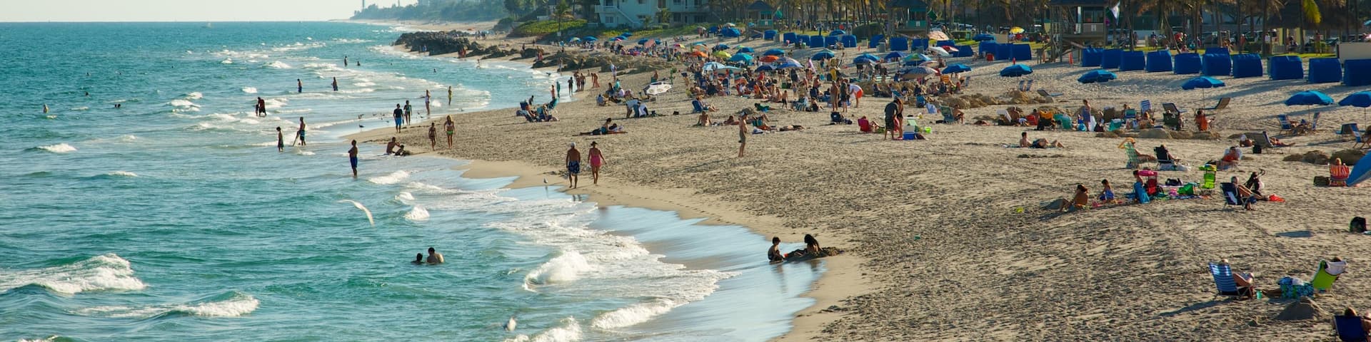 Deerfield Beach Pier showing landscape views, a coastal town and a beach