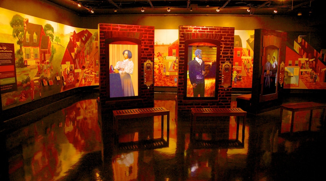 African American Museum showing interior views