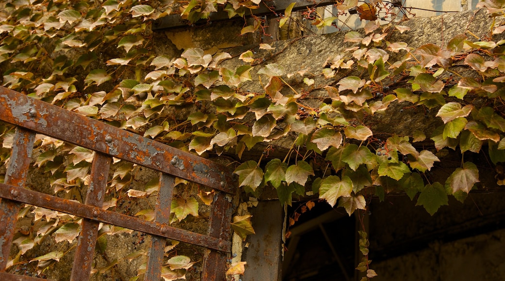 Eastern State Penitentiary featuring autumn leaves