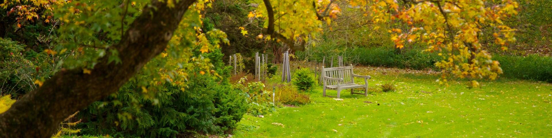 Morris Arboretum showing autumn leaves, a park and landscape views