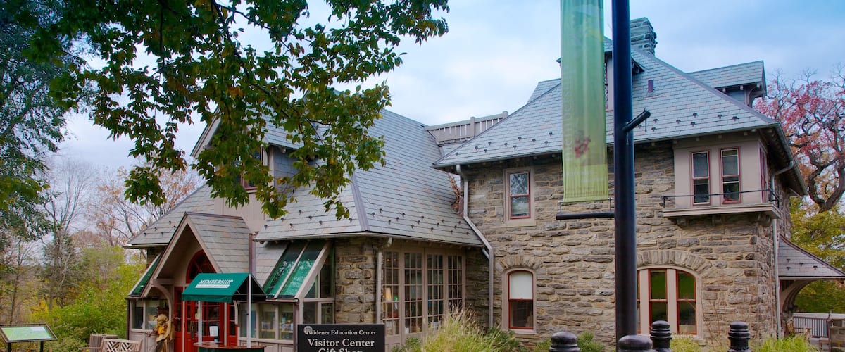 Morris Arboretum showing a small town or village and shopping