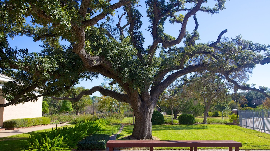 Parque Hermann que incluye vistas panorámicas y un jardín