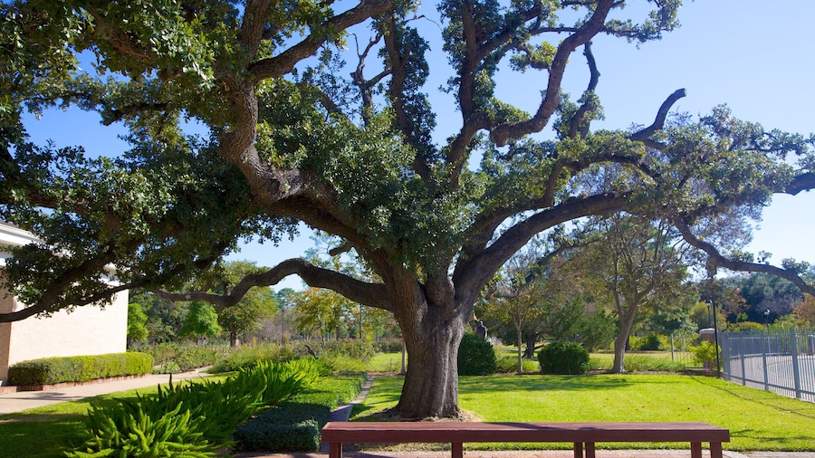Hermann Park das einen Garten und Landschaften