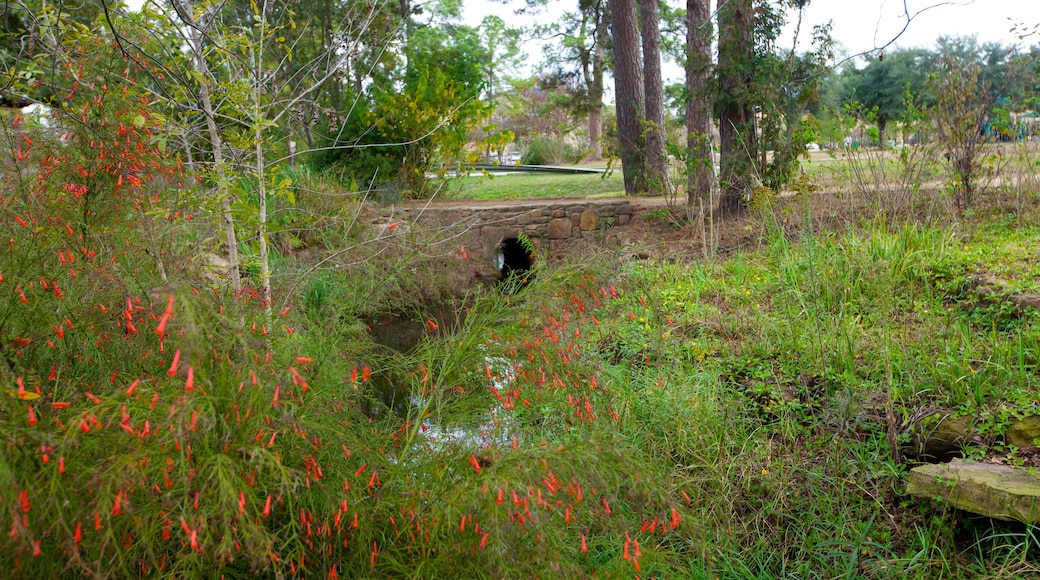 Memorial Park which includes landscape views, a lake or waterhole and a park