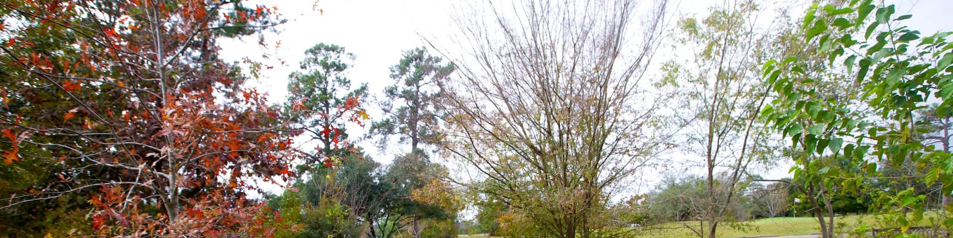 Memorial Park showing a garden, a memorial and landscape views
