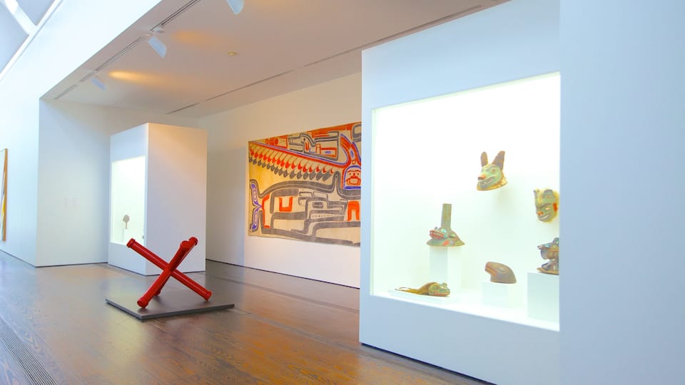 Menil Collection inclusief interieur en kunst