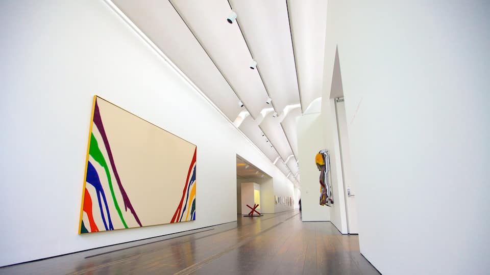 Menil Collection mostrando vistas interiores