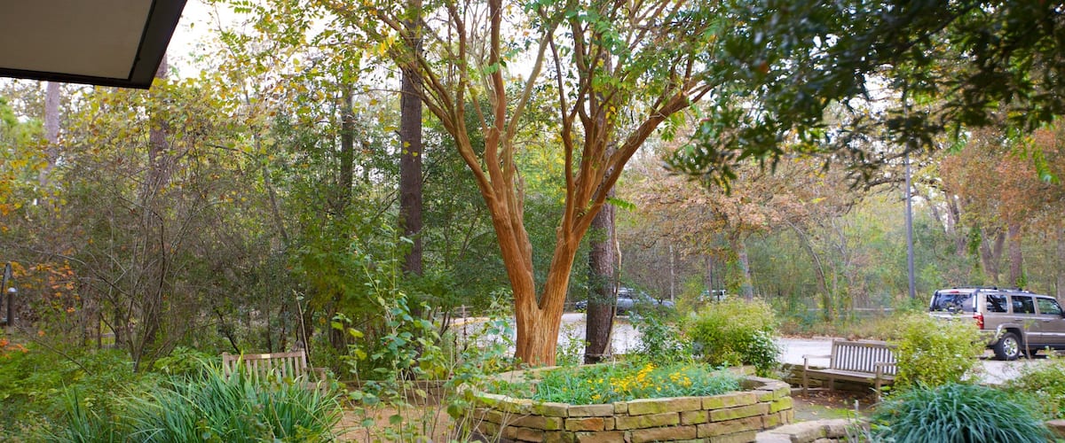 Houston Arboretum and Nature Center which includes a park and landscape views