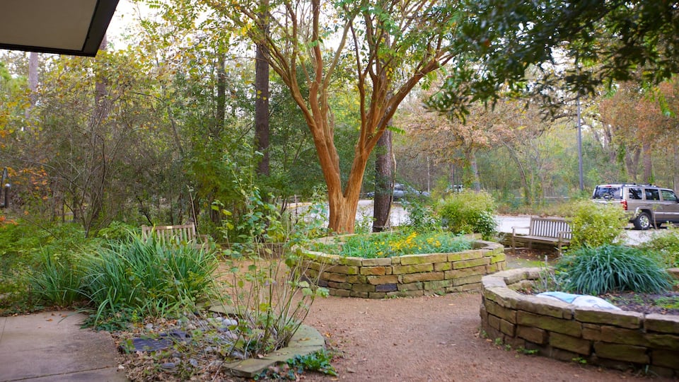 Houston Arboretum and Nature Center which includes a park and landscape views