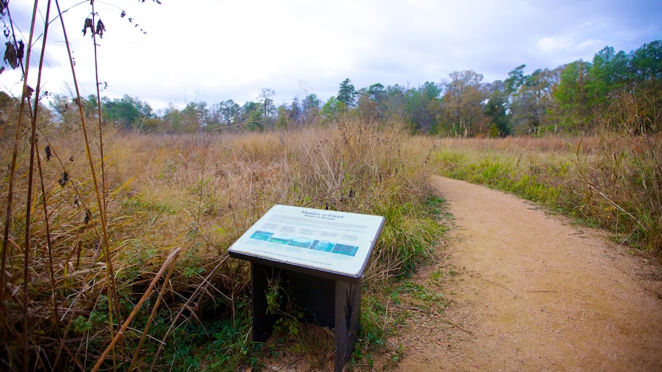 Houston Arboretum and Nature Center featuring landscape views, tranquil scenes and a park