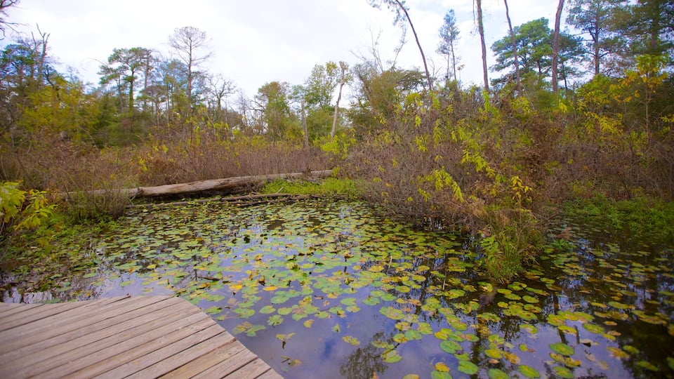 Houston Arboretum and Nature Center featuring a pond, landscape views and a garden