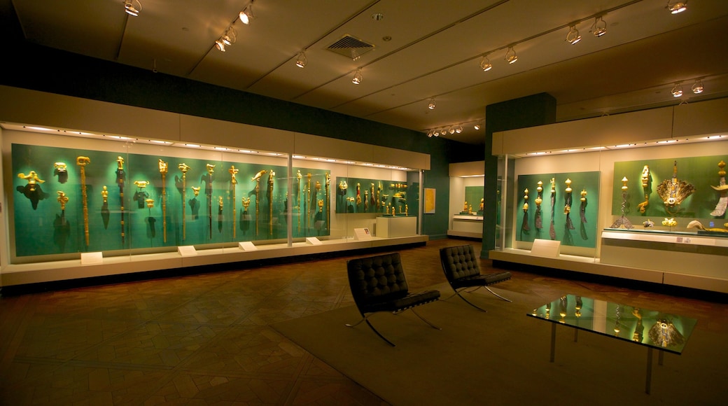 Houston Museum of Fine Arts mit einem Innenansichten