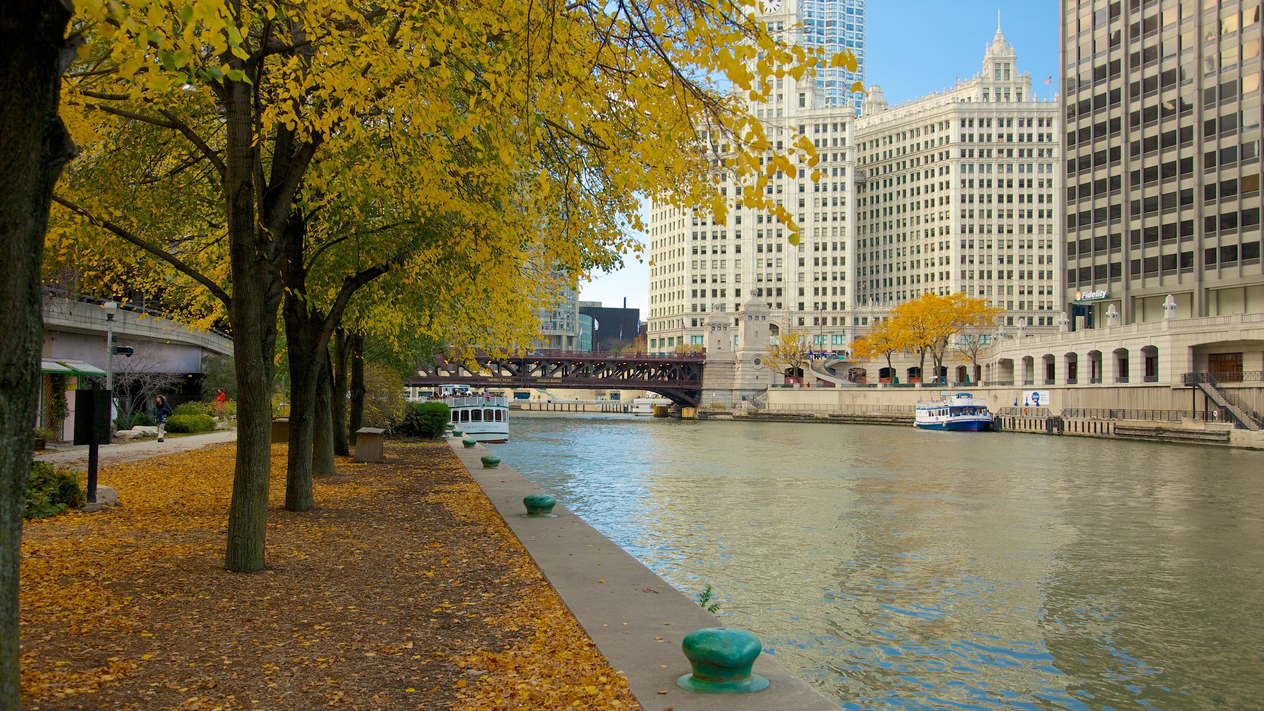 Downtown Chicago, Il