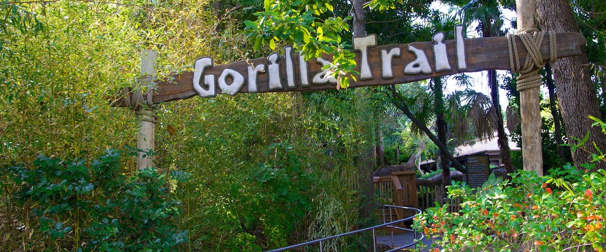 Dallas Zoo showing signage and zoo animals
