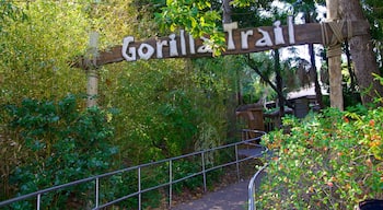 Dallas Zoo showing signage and zoo animals