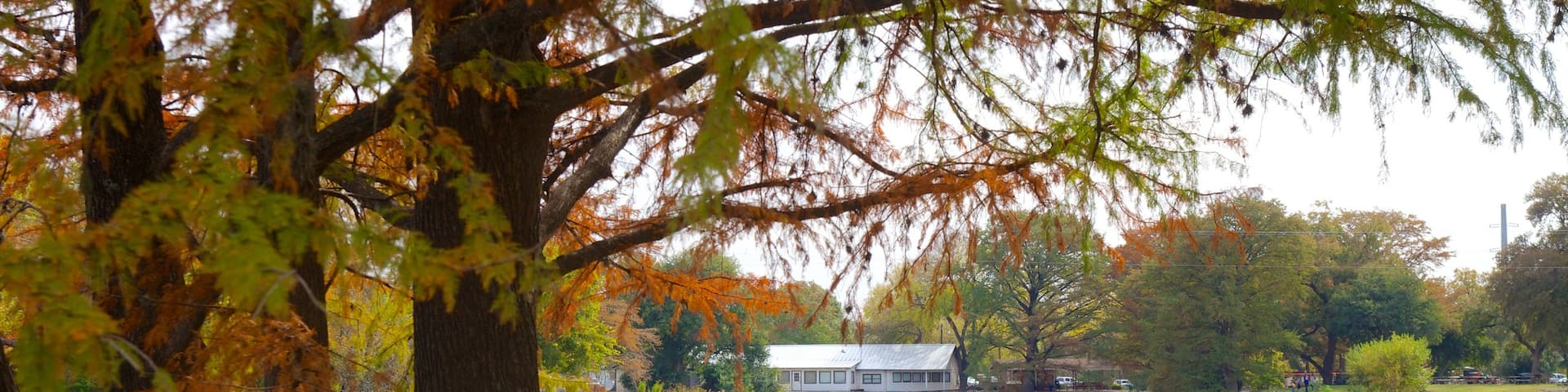 Landa Park featuring railway items, autumn leaves and a garden