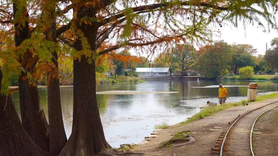 Parque Landa mostrando elementos ferroviarios, hojas de otoño y un jardín