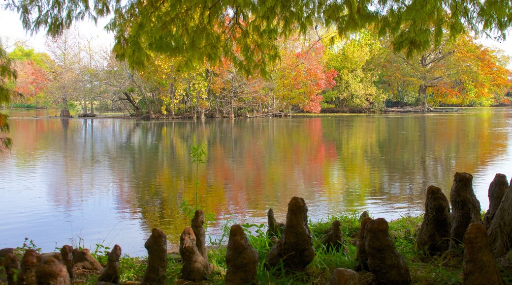 Parque Landa mostrando un jardín, vistas de paisajes y un lago o abrevadero