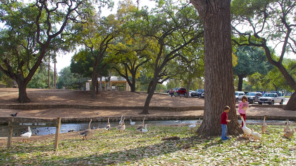 Landa Park showing a pond, landscape views and autumn leaves