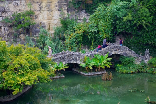Japanese Tea Gardens mettant en vedette panoramas, mare et parc