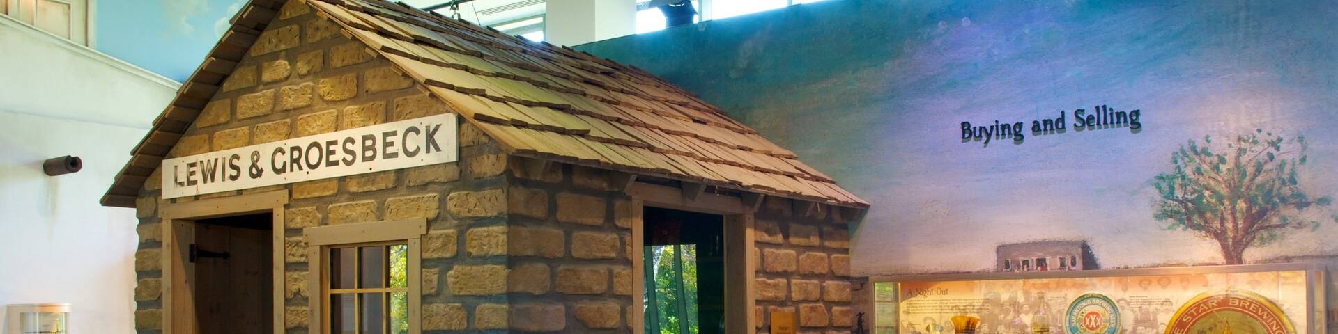 Witte Museum which includes signage and interior views