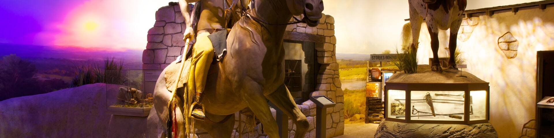 Witte Museum showing interior views