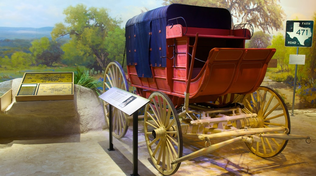 Witte Museum featuring interior views