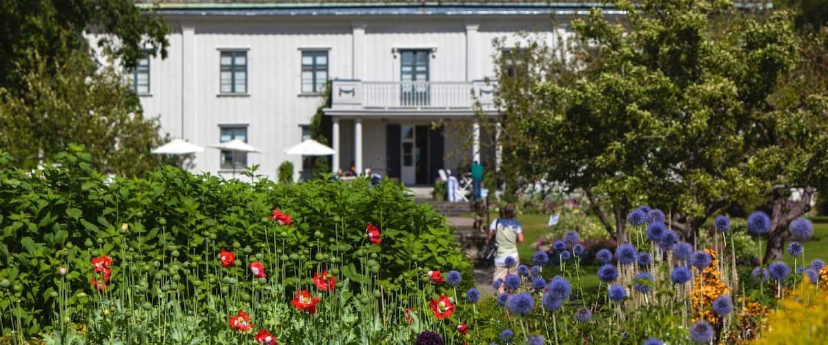 Karlstad ofreciendo flores silvestres