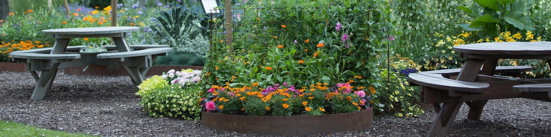 Borlange which includes a garden and wild flowers