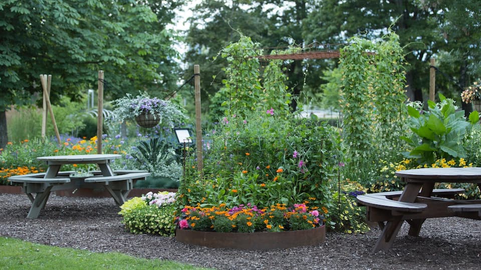 Borlange que incluye un jardín y flores silvestres