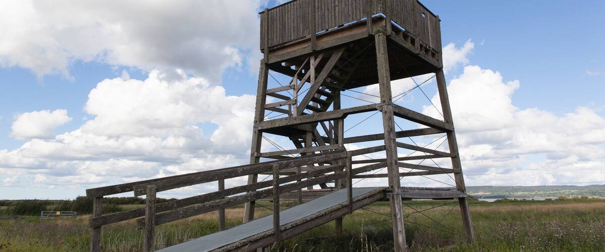 Skara which includes tranquil scenes and views