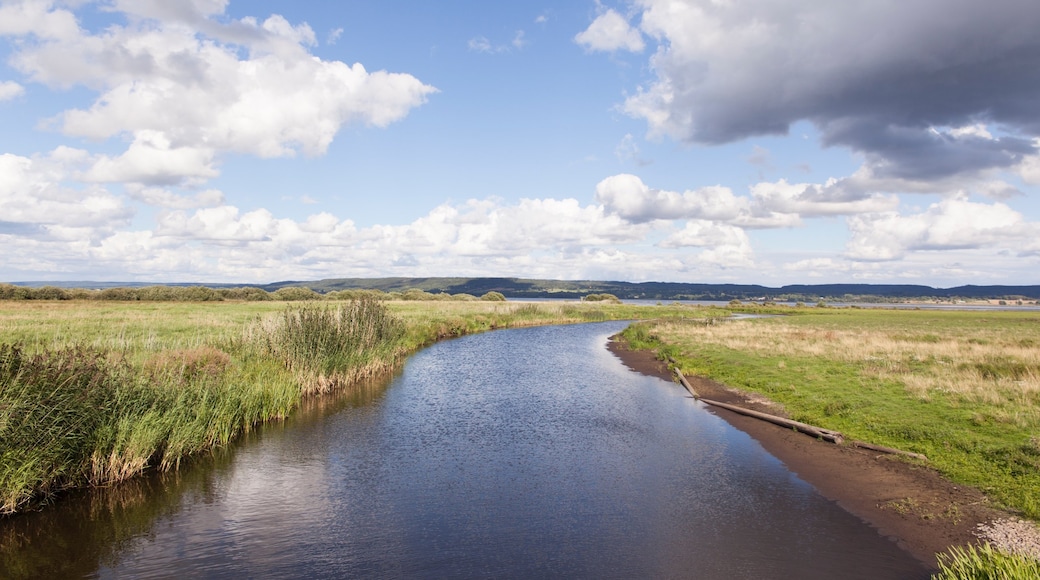 Skara som inkluderar stillsam natur och en å eller flod