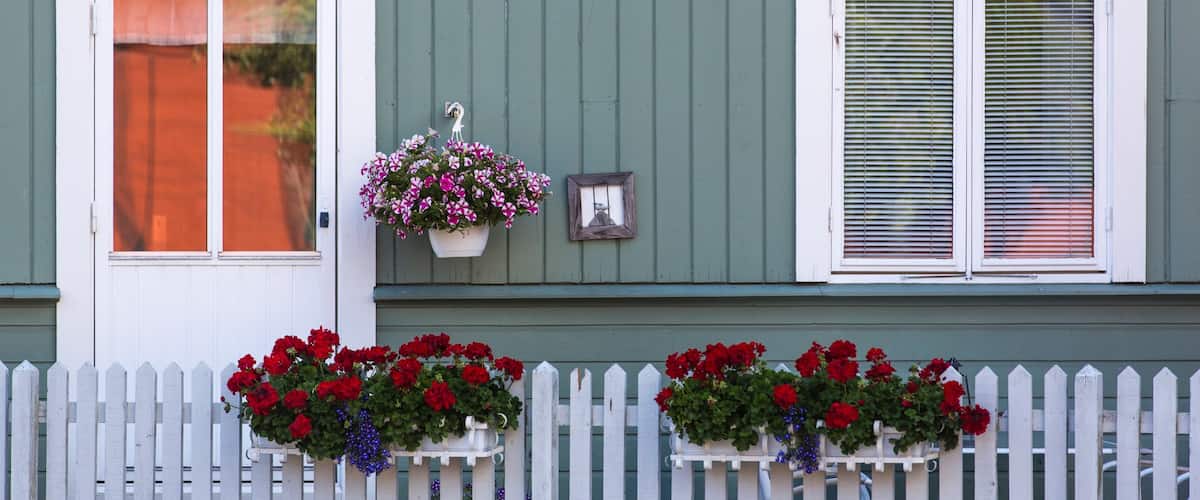 Karlshamn featuring flowers and a house