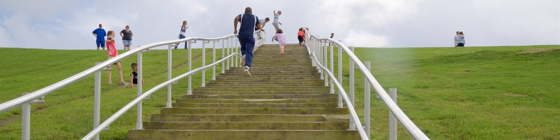 Mount Trashmore Park which includes a park as well as a small group of people