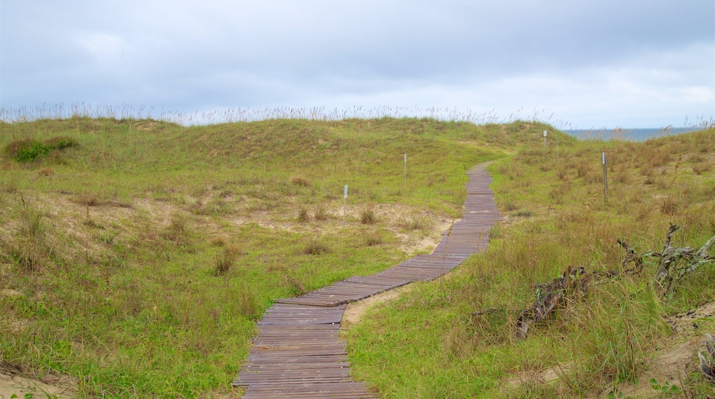 Back Bay National Wildlife Refuge som inkluderar kustutsikter