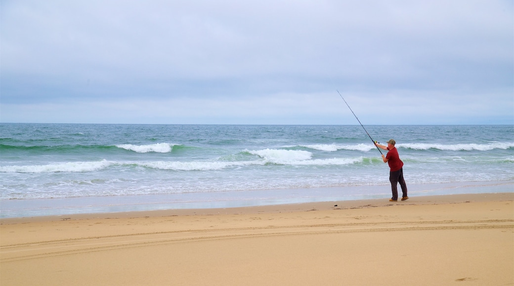 Back Bay National Wildlife Refuge showing a sandy beach, general coastal views and fishing