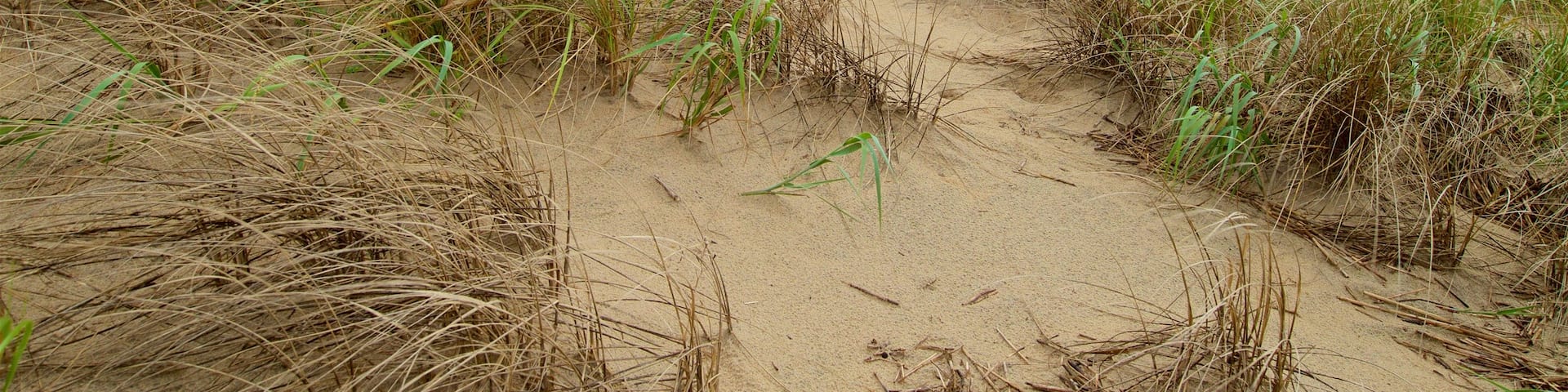 Back Bay National Wildlife Refuge featuring a sandy beach and general coastal views