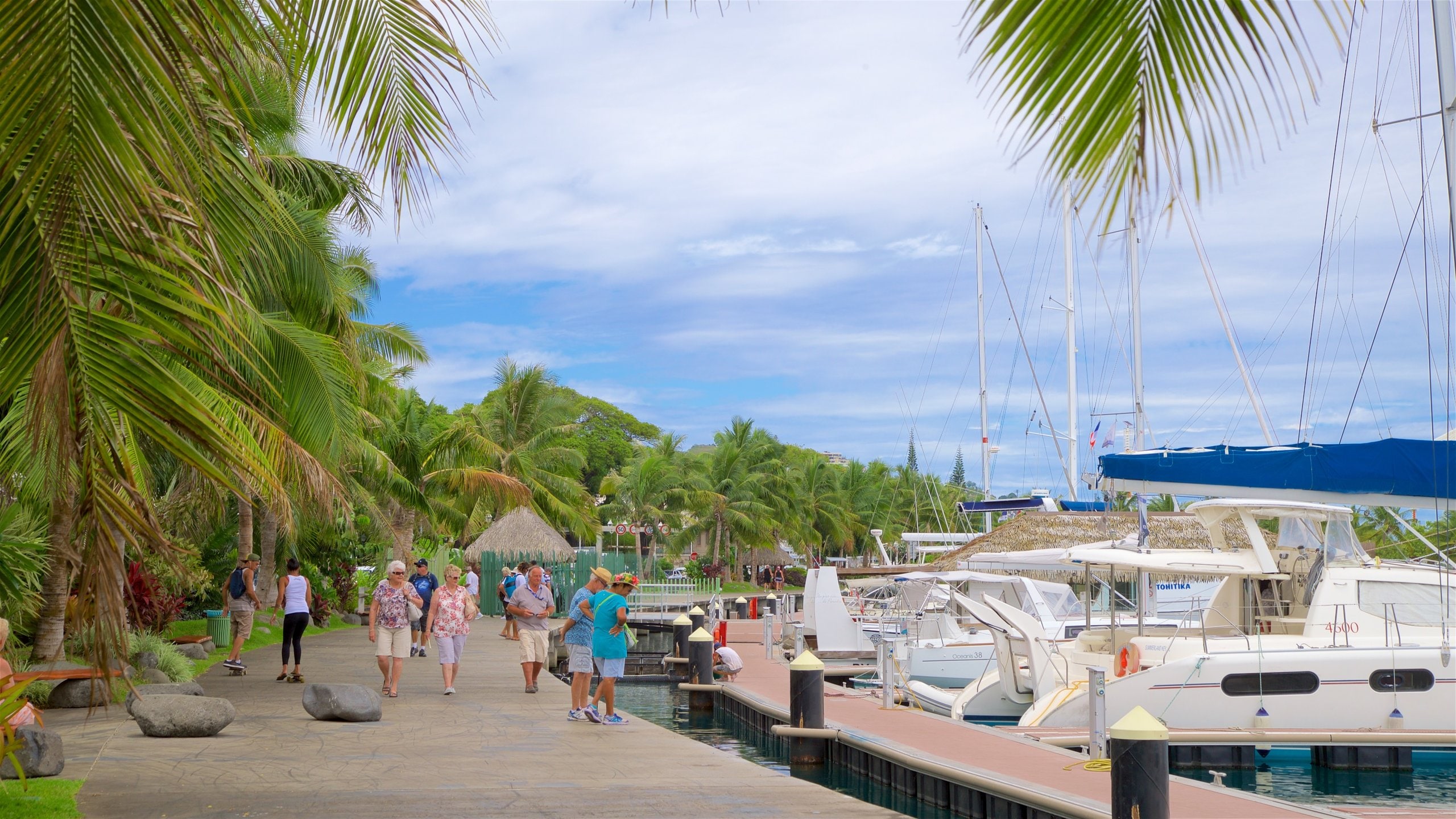Papeete showing a bay or harbor and tropical scenes as well as a small group of people