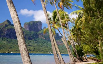 トゥアモトゥ諸島 オーストラリア連邦 ニュージーランドと南太平洋旅行 エクスペディア トゥアモトゥ諸島 オーストラリア連邦 ニュージーランドと南太平洋旅行 エクスペディア