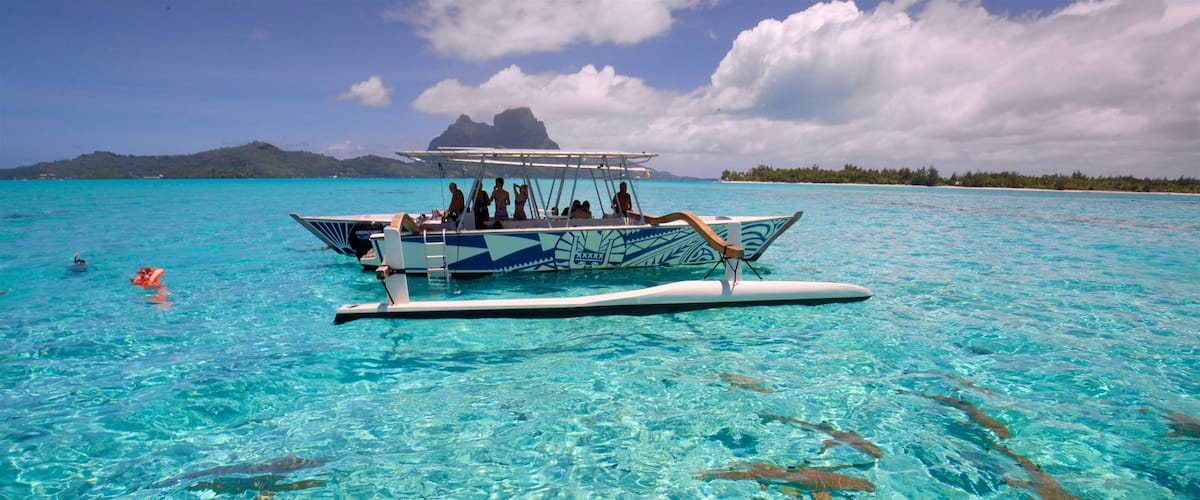 Society Islands which includes boating, marine life and tropical scenes