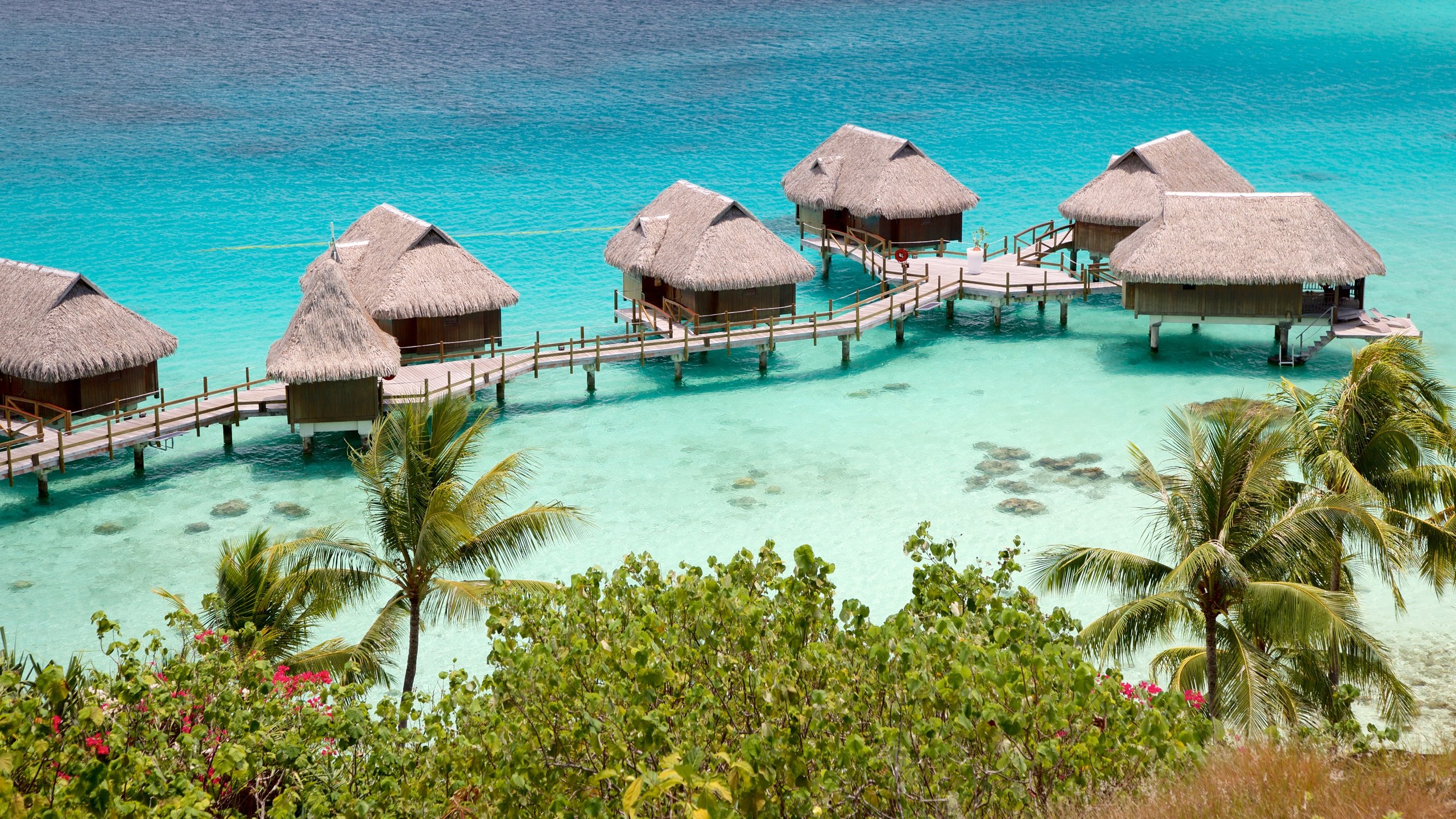 Sofitel Motu showing general coastal views and tropical scenes