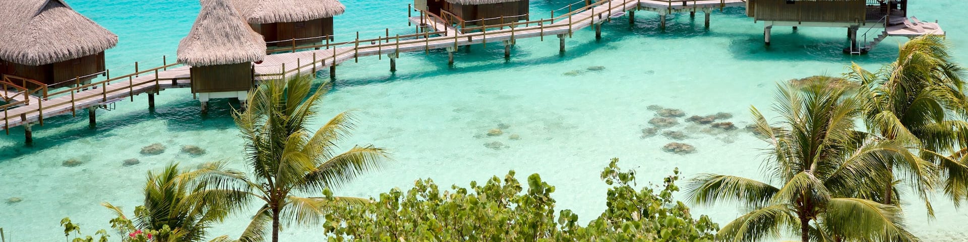 Sofitel Motu showing general coastal views and tropical scenes