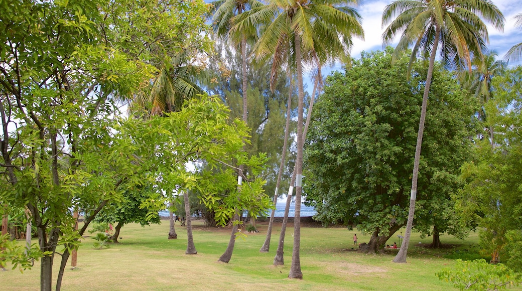 大溪地博物館 呈现出 花園