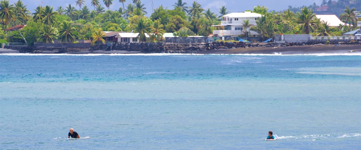 Museo de Tahití ofreciendo escenas tropicales, natación y vistas de una costa